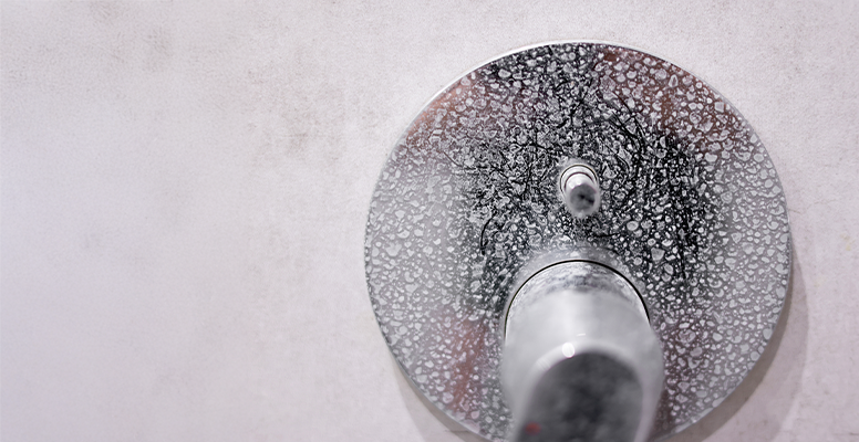 Shower dial with hard water staining/scale